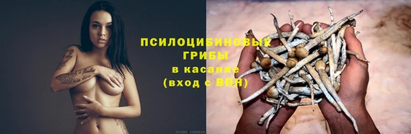 трава Белая Калитва