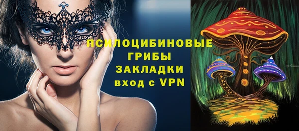 индика Алзамай