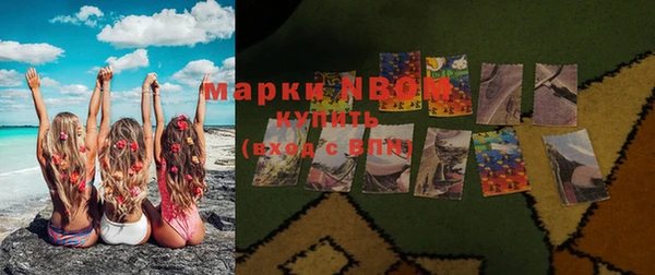 индика Алзамай
