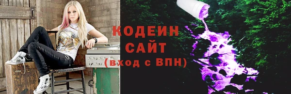 индика Алзамай